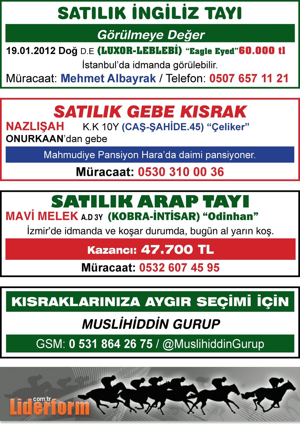 45) Çeliker ONURKAAN dan gebe Mahmudiye Pansiyon Hara da daimi pansiyoner. Müracaat: 0530 310 00 36 SATILIK ARAP TAYI MAVİ MELEK A.