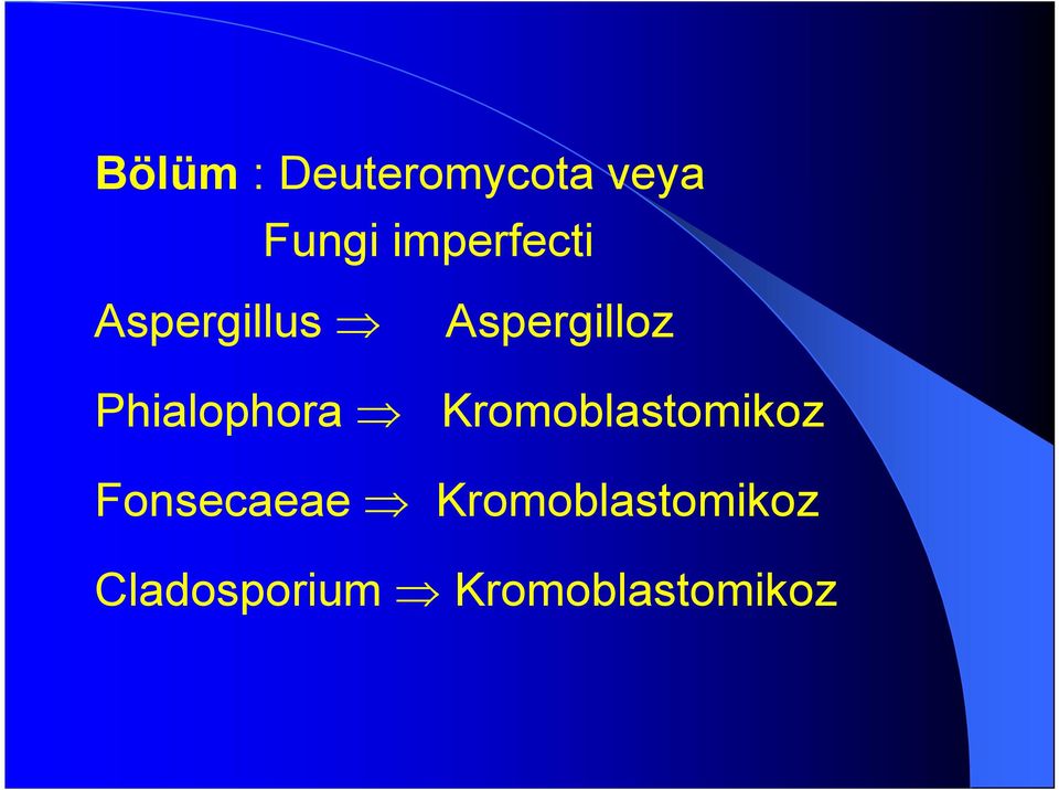 Aspergilloz Kromoblastomikoz