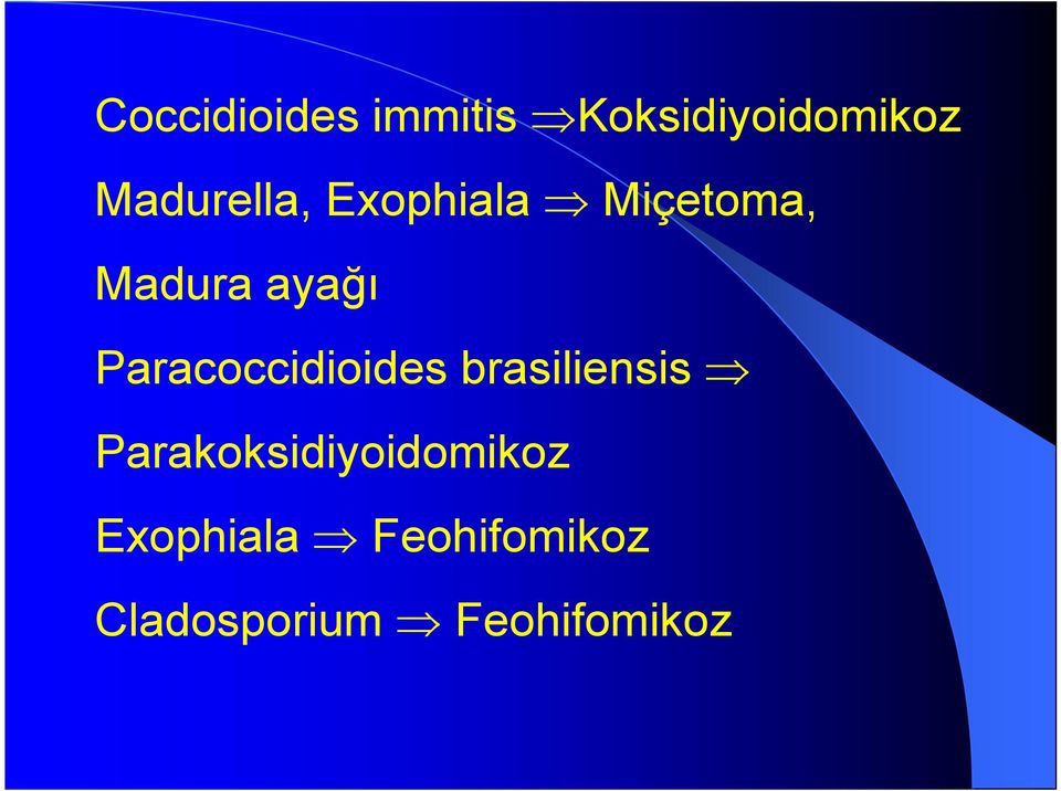 Paracoccidioides brasiliensis