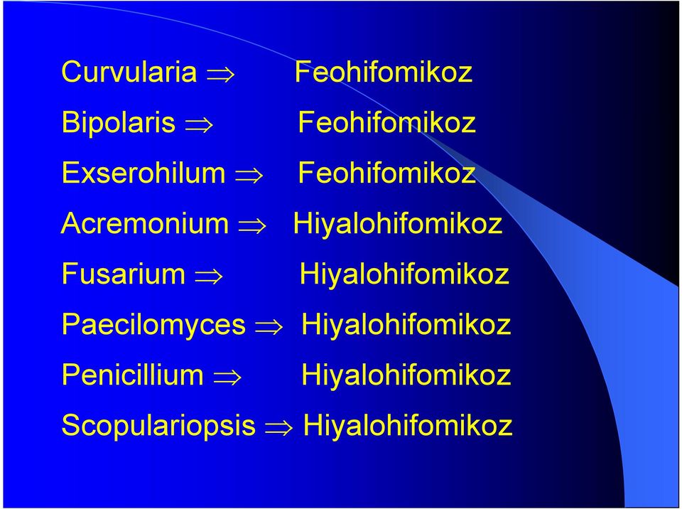 Fusarium Hiyalohifomikoz Paecilomyces
