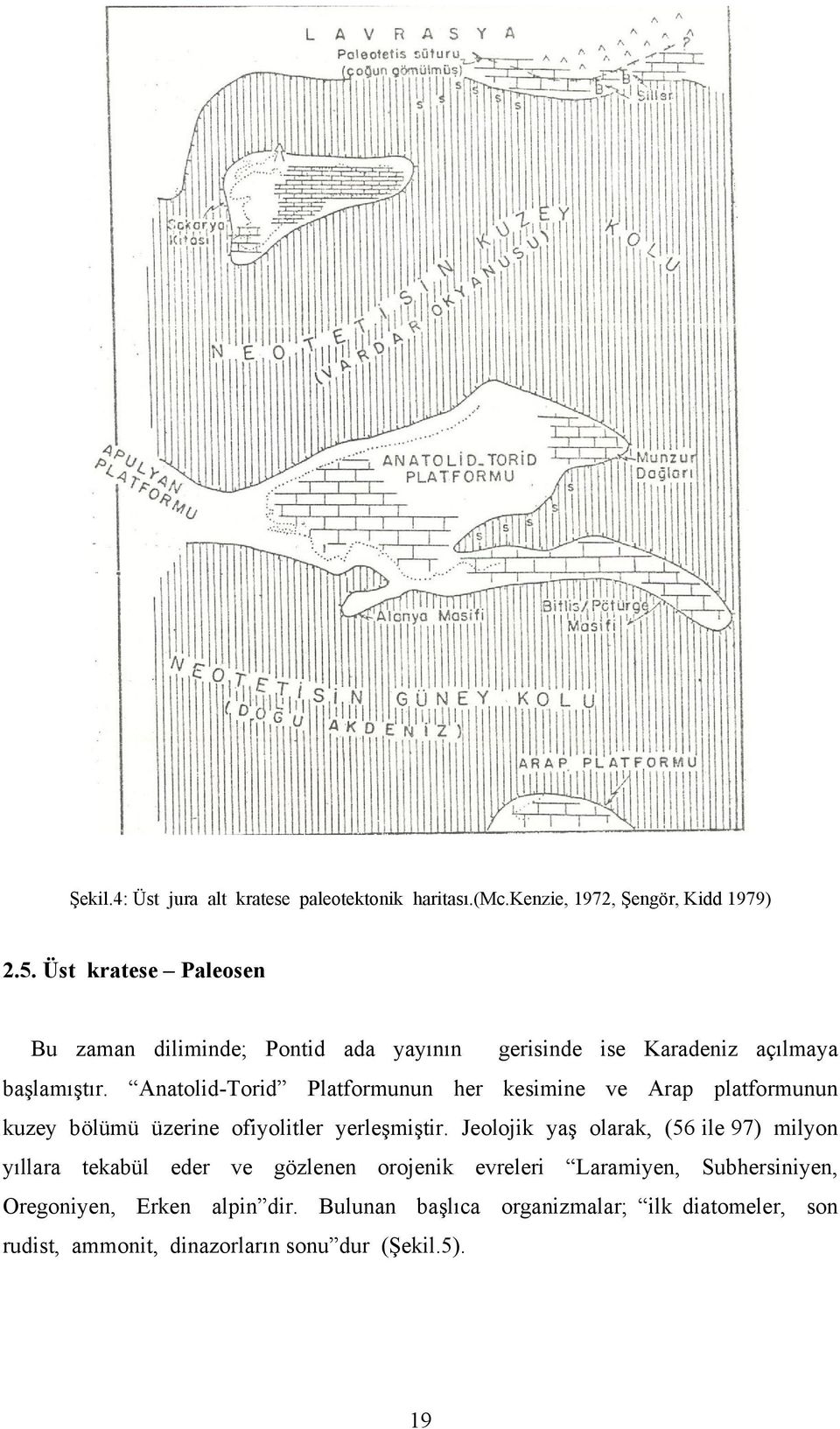 Anatolid-Torid Platformunun her kesimine ve Arap platformunun kuzey bölümü üzerine ofiyolitler yerleşmiştir.