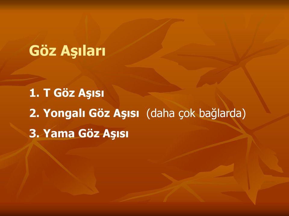 Yongalı Göz Aşısı