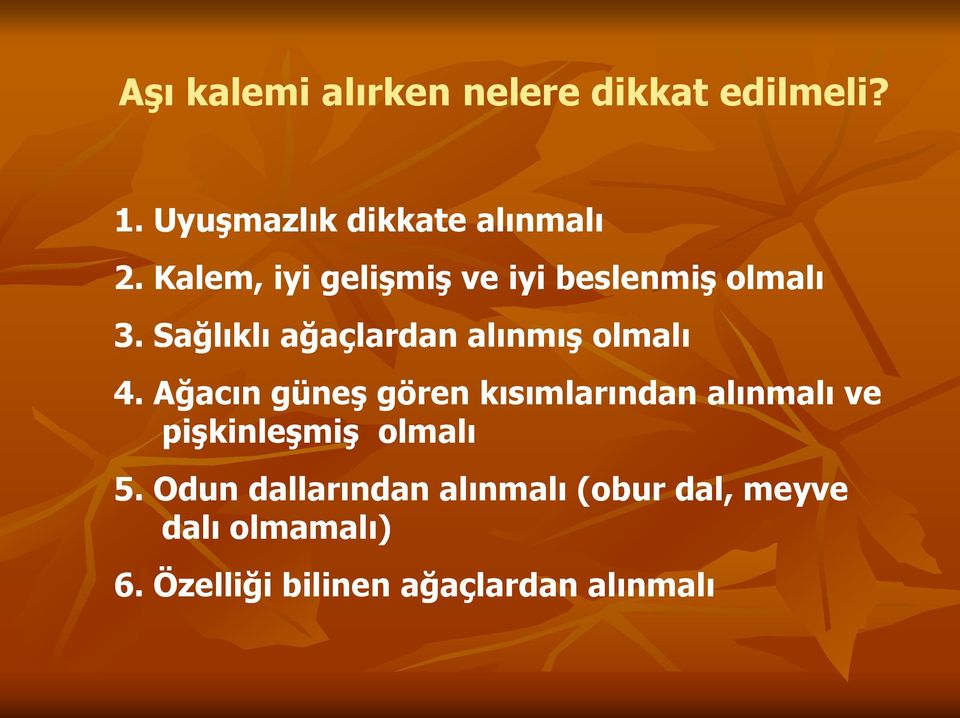 Sağlıklı ağaçlardan alınmış olmalı 4.