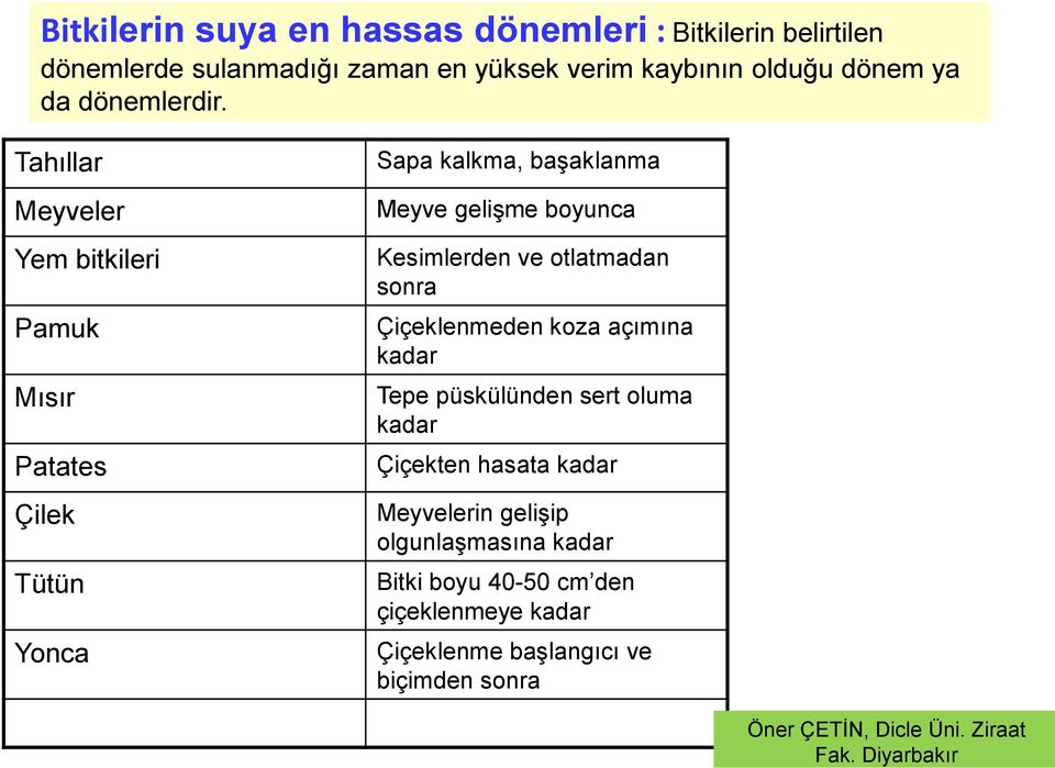 Tahıllar Meyveler Yem bitkileri Pamuk Mısır Patates Çilek Tütün Yonca Sapa kalkma, başaklanma Meyve gelişme boyunca Kesimlerden ve