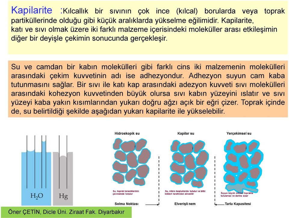 Su ve camdan bir kabın molekülleri gibi farklı cins iki malzemenin molekülleri arasındaki çekim kuvvetinin adı ise adhezyondur. Adhezyon suyun cam kaba tutunmasını sağlar.