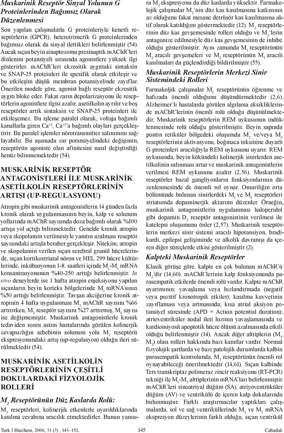 machr leri ekzositik aygıttaki sintaksin ve SNAP-25 proteinleri ile spesifik olarak etkileşir ve bu etkileşim düşük membran potansiyelinde zayıflar.