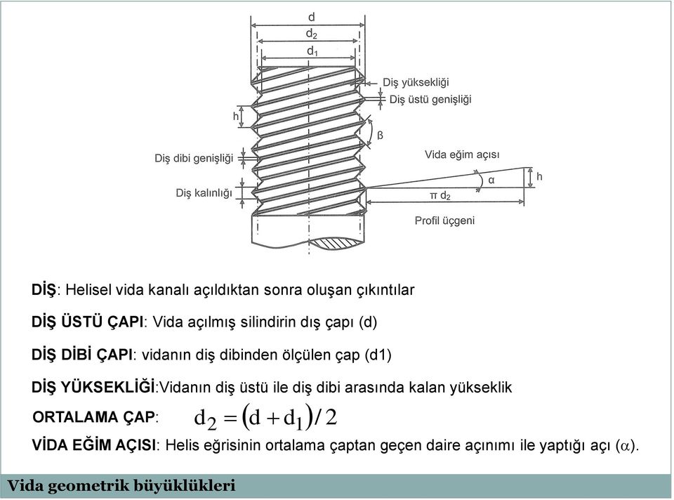 YÜKSEKLİĞİ:Vidanın diş üstü ile diş dibi arasında kalan yükseklik ORTALAMA ÇAP: d d / 2 Vida