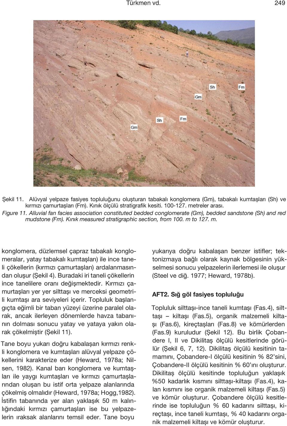 Shallow lacustrine deposits consisted of alternation of fine grained sandstone-siltstone (SF), organic-rich claystone (Fl1), red mudstone (Fm), limestone (Pf).