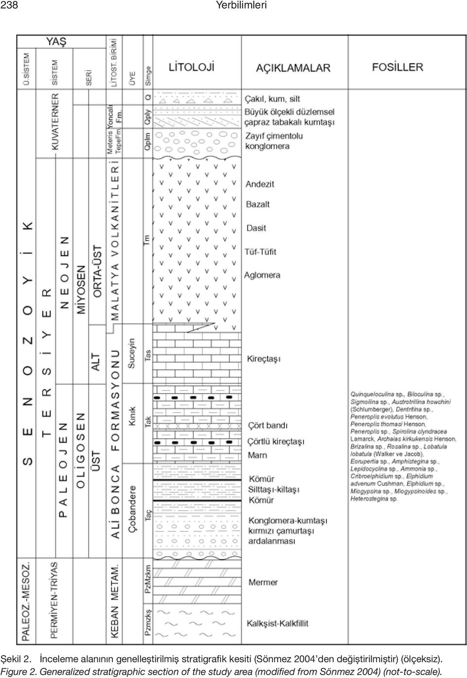 (Sönmez 2004 den değiştirilmiştir) (ölçeksiz).