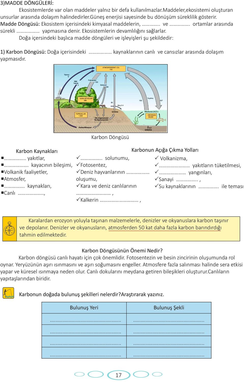 Ekosistemlerin devamlılığını sağlarlar.