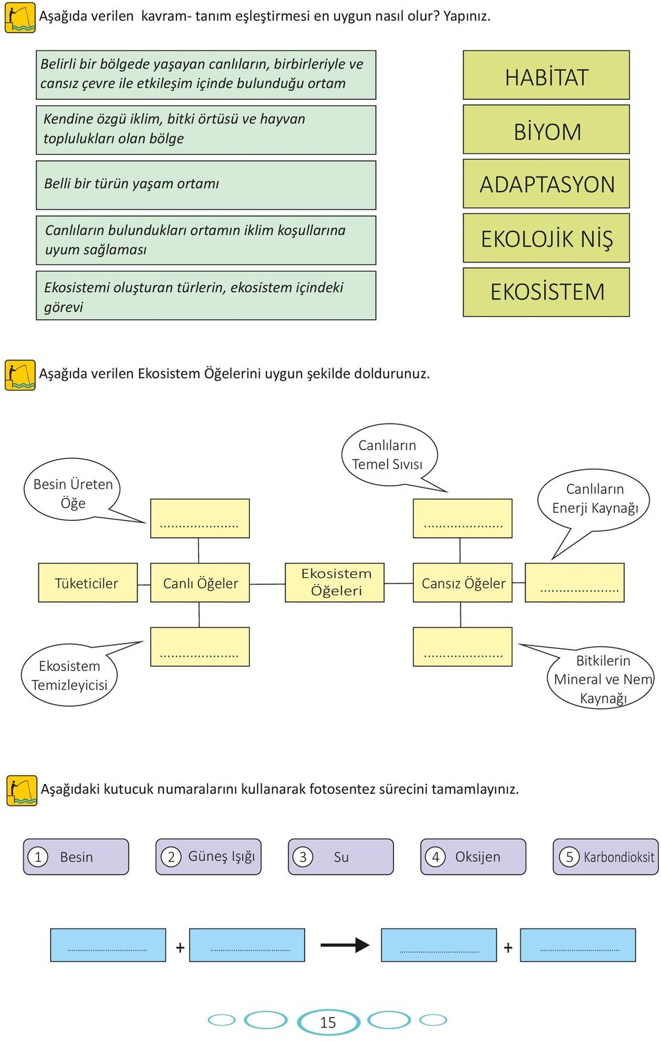 türün yaşam ortamı ADAPTASYON Canlıların bulundukları ortamın iklim koşullarına uyum sağlaması EKOLOJİK NİŞ Ekosistemi oluşturan türlerin, ekosistem içindeki görevi EKOSİSTEM Aşağıda verilen