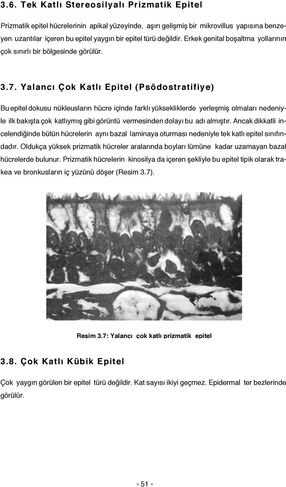 Yalancı Çok Katlı Epitel (Psödostratifiye) Bu epitel dokusu nükleusların hücre içinde farklı yüksekliklerde yerleşmiş olmaları nedeniyle ilk bakışta çok katlıymış gibi görüntü vermesinden dolayı bu