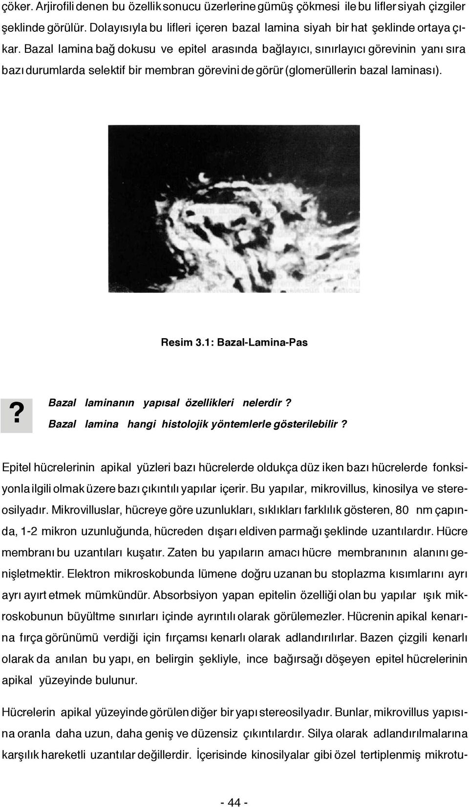 1: Bazal-Lamina-Pas? Bazal laminanın yapısal özellikleri nelerdir? Bazal lamina hangi histolojik yöntemlerle gösterilebilir?