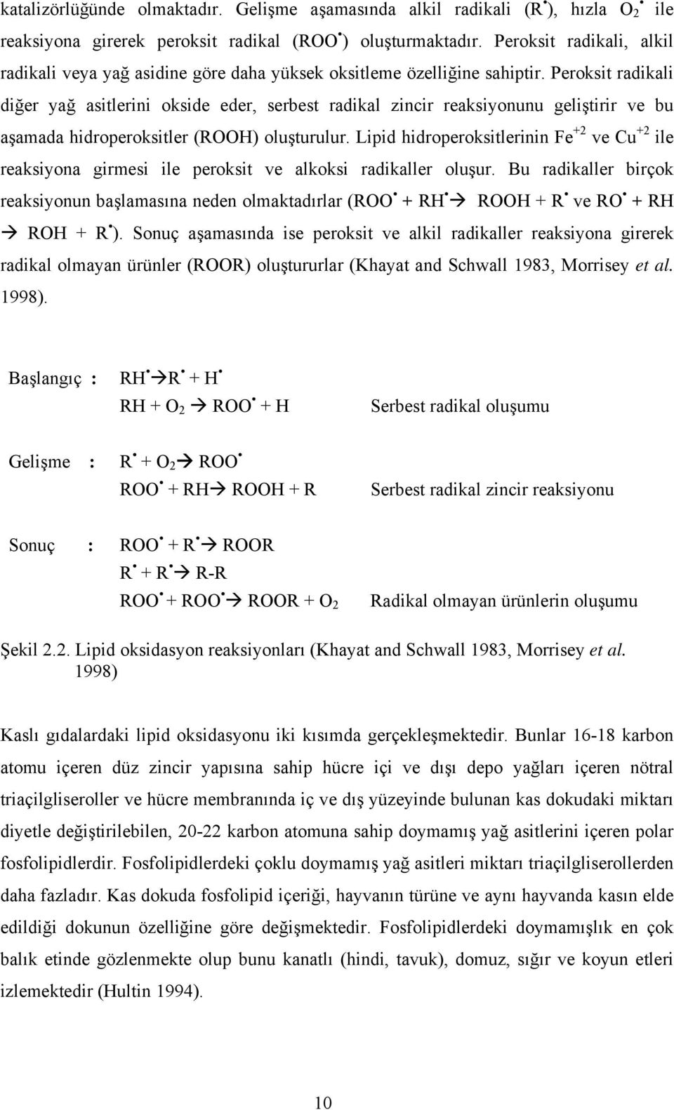 Peroksit radikali diğer yağ asitlerini okside eder, serbest radikal zincir reaksiyonunu geliştirir ve bu aşamada hidroperoksitler (ROOH) oluşturulur.