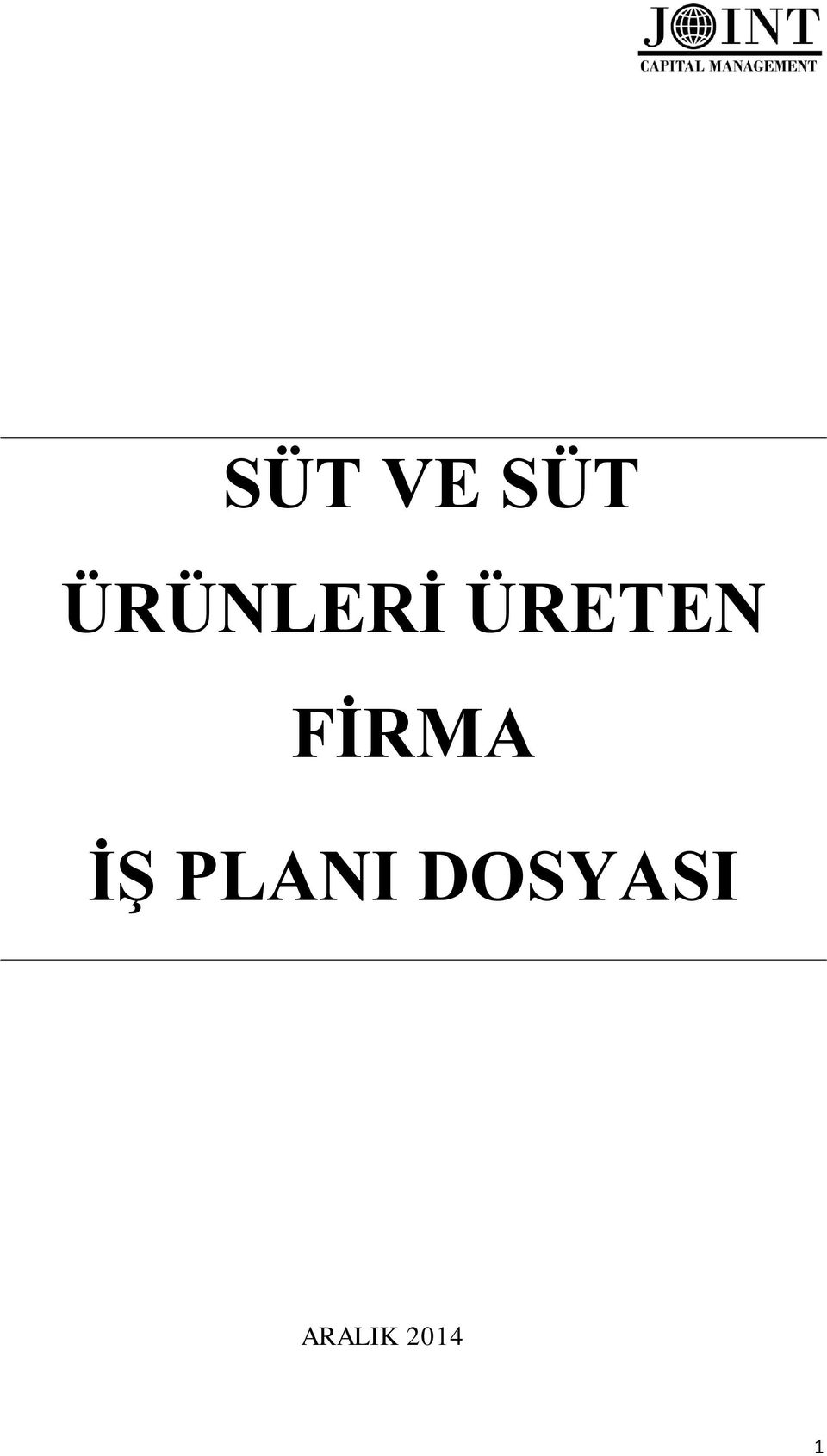 FİRMA İŞ PLANI