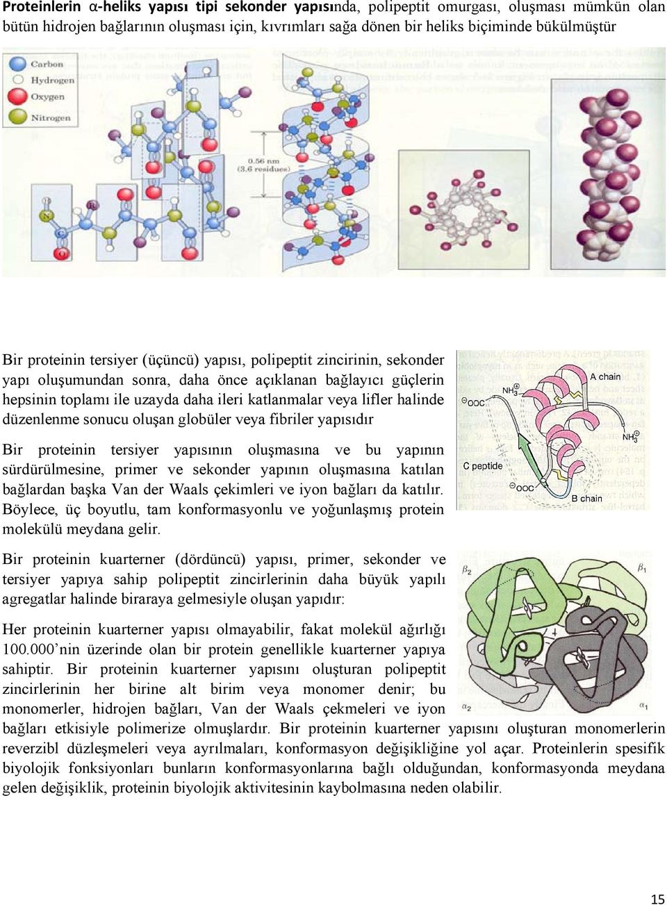 halinde düzenlenme sonucu oluşan globüler veya fibriler yapısıdır Bir proteinin tersiyer yapısının oluşmasına ve bu yapının sürdürülmesine, primer ve sekonder yapının oluşmasına katılan bağlardan