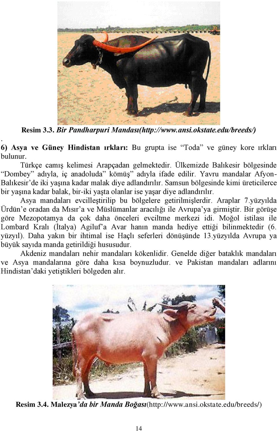 Yavru mandalar Afyon- Balıkesir de iki yaşına kadar malak diye adlandırılır. Samsun bölgesinde kimi üreticilerce bir yaşına kadar balak, bir-iki yaşta olanlar ise yaşar diye adlandırılır.