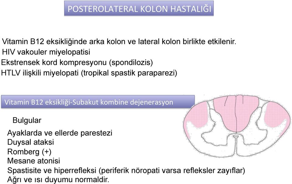 paraparezi) Vitamin B12 eksikliği- Subakut kombine dejenerasyon Bulgular Ayaklarda ve ellerde parestezi Duysal