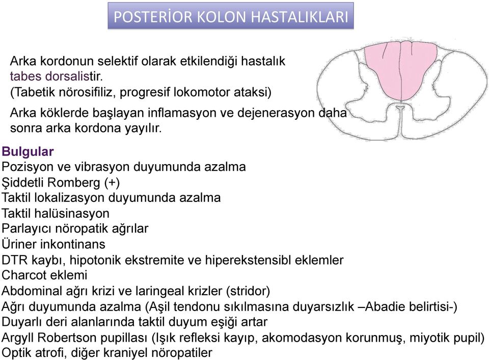 Bulgular Pozisyon ve vibrasyon duyumunda azalma Şiddetli Romberg (+) Taktil lokalizasyon duyumunda azalma Taktil halüsinasyon Parlayıcı nöropatik ağrılar Üriner inkontinans DTR kaybı, hipotonik