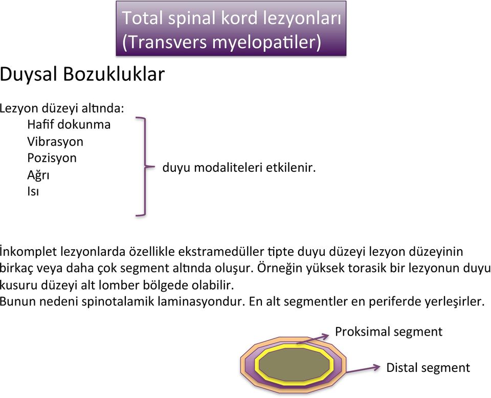 İnkomplet lezyonlarda özellikle ekstramedüller Dpte duyu düzeyi lezyon düzeyinin birkaç veya daha çok segment aljnda