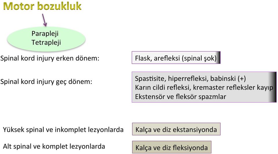 refleksi, kremaster refleksler kayıp Ekstensör ve fleksör spazmlar Yüksek spinal ve