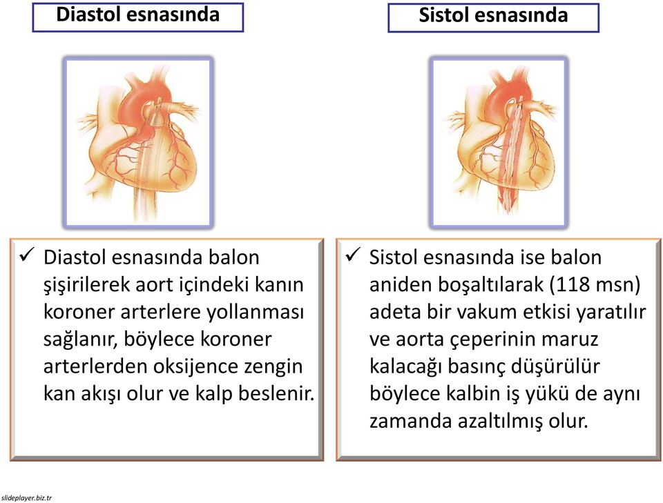 beslenir.