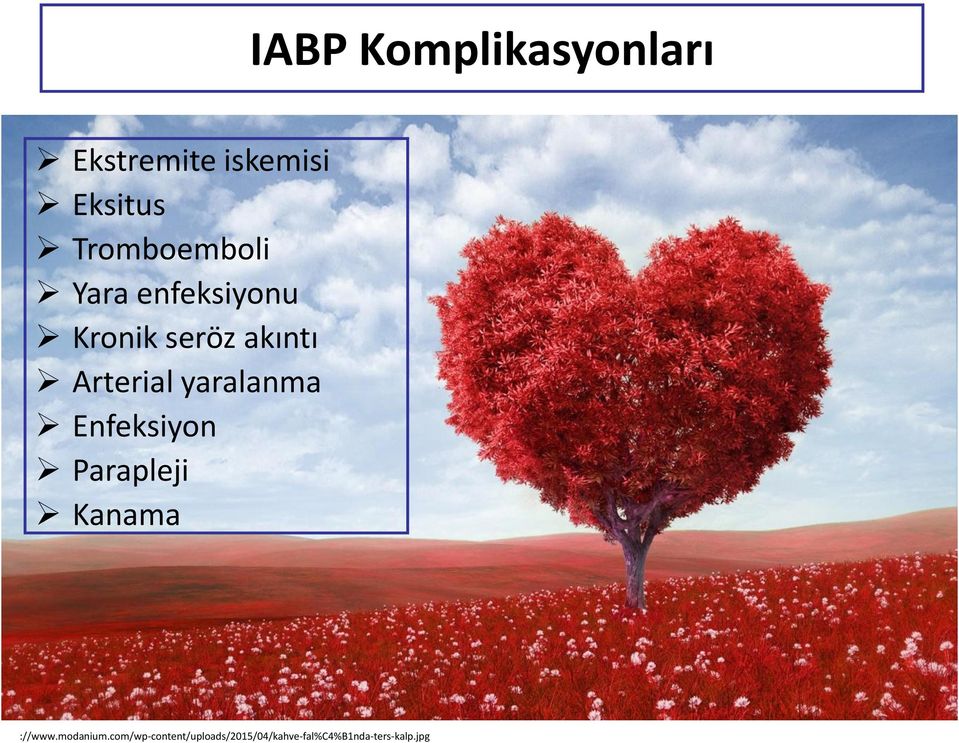 Arterial yaralanma Enfeksiyon Parapleji Kanama http://www.