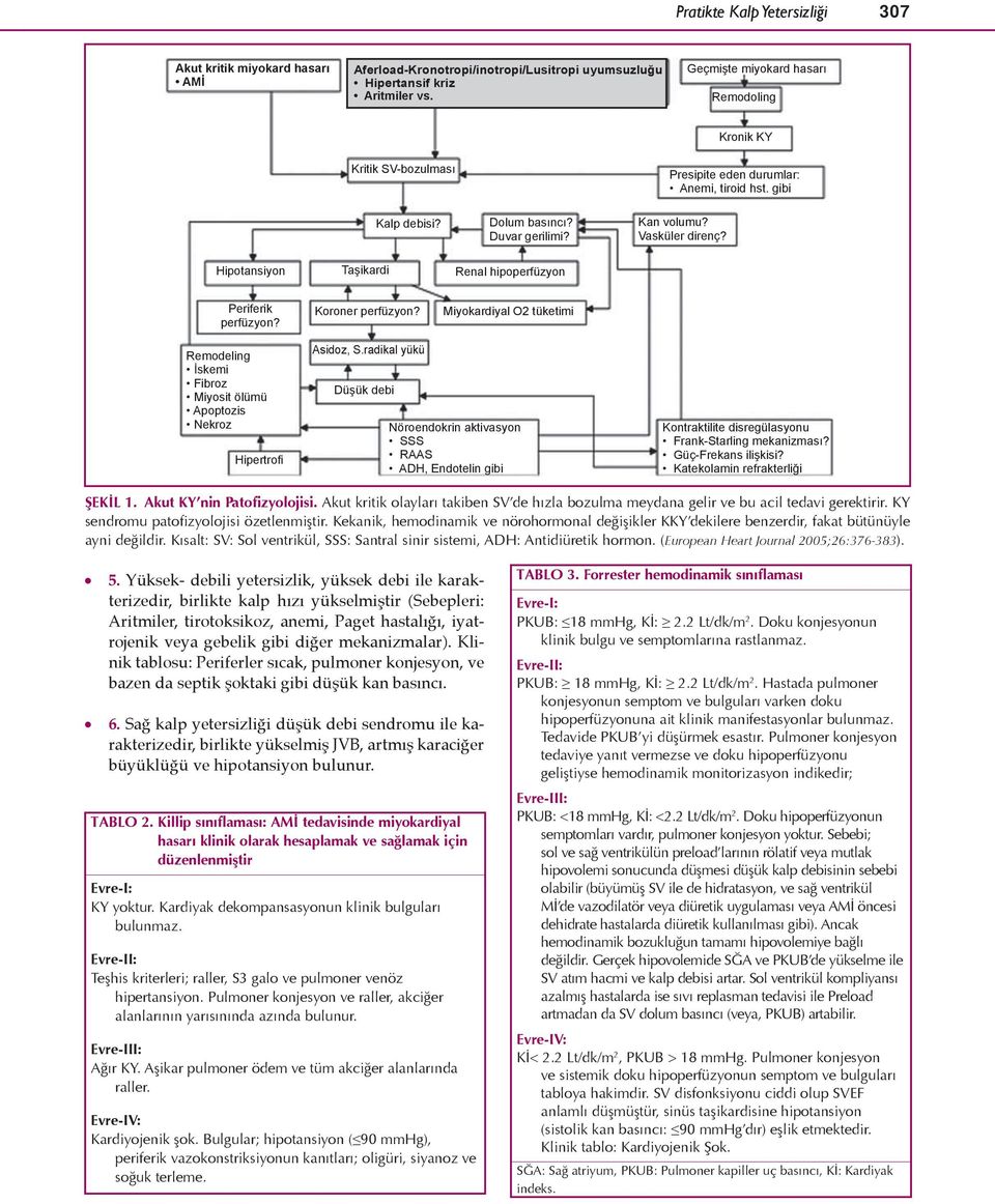 Hipotansiyon Taşikardi Renal hipoperfüzyon Periferik perfüzyon? Koroner perfüzyon? Miyokardiyal O2 tüketimi Remodeling İskemi Fibroz Miyosit ölümü Apoptozis Nekroz Hipertrofi Asidoz, S.