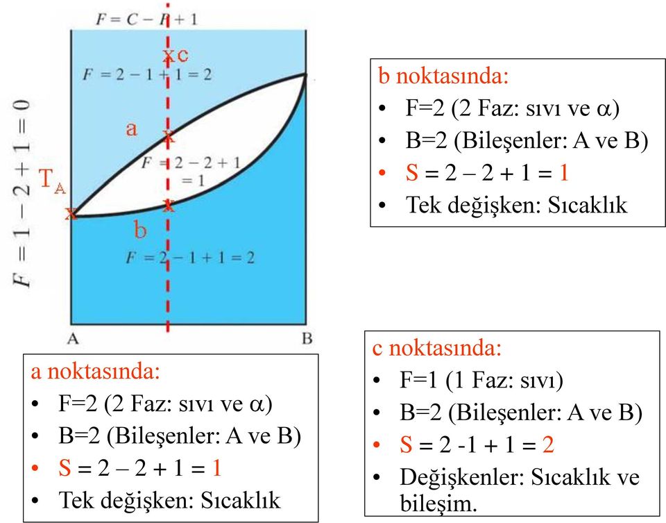 A ve B) S = 2 2 + 1 = 1 Tek değişken: Sıcaklık c noktasında: F=1 (1 Faz: