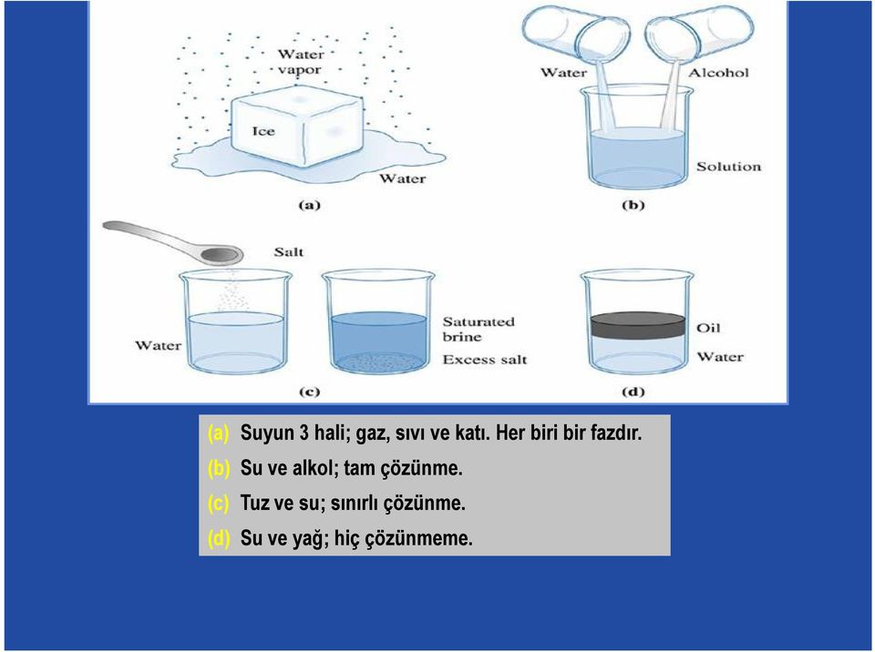 (b) Su ve alkol; tam çözünme.