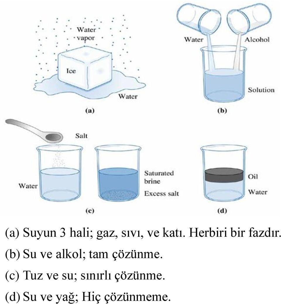 (b) Su ve alkol; tam çözünme.