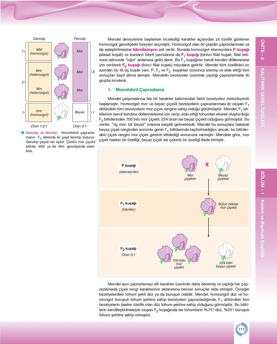 3 Mendel deneylerine başlarken incelediği karakter açısından zıt özellik gösteren homozigot genotipteki bireyleri seçmiştir.