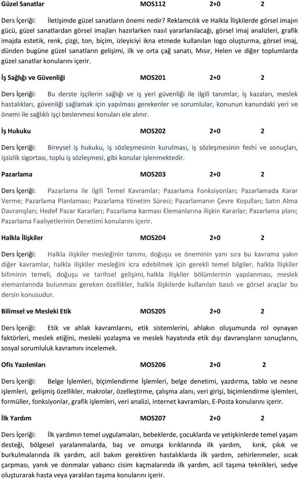 izleyiciyi ikna etmede kullanılan logo oluşturma, görsel imaj, dünden bugüne güzel sanatların gelişimi, ilk ve orta çağ sanatı, Mısır, Helen ve diğer toplumlarda güzel sanatlar konularını içerir.