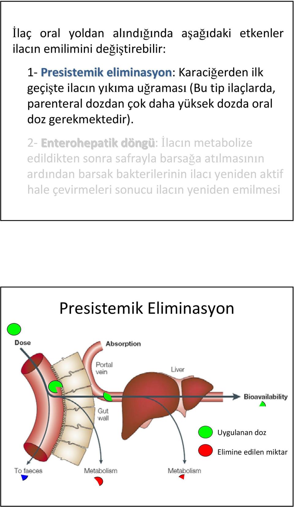 2 Enterohepatik döngd ngü: İlacın metabolize edildikten sonra safrayla barsağa atılmasının ardından barsak bakterilerinin