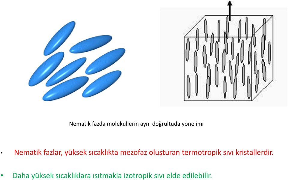 oluşturan termotropik sıvı kristallerdir.