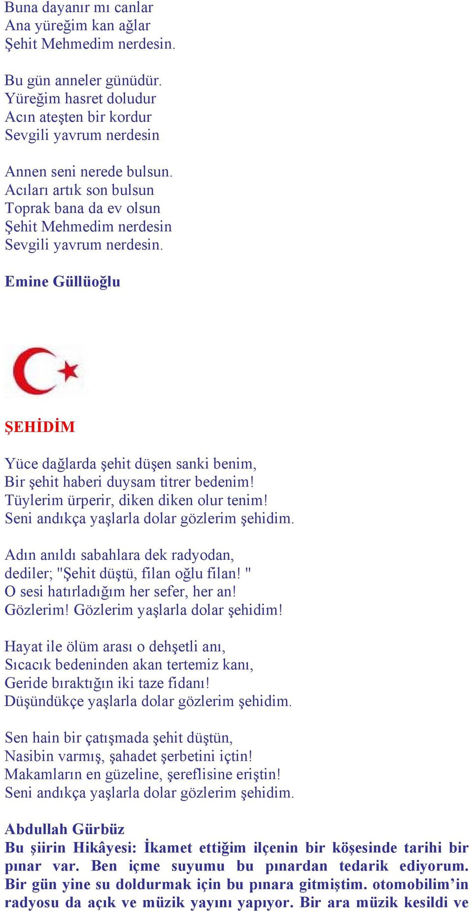 Tüylerim ürperir, diken diken olur tenim! Seni andıkça yaşlarla dolar gözlerim şehidim. Adın anıldı sabahlara dek radyodan, dediler; ''Şehit düştü, filan oğlu filan!