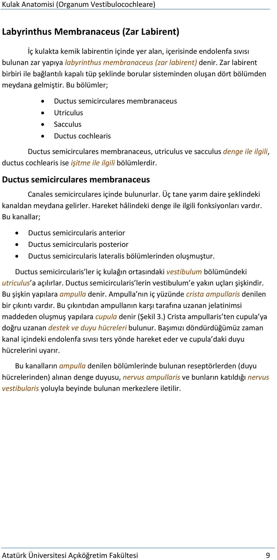 Bu bölümler; Ductus semicirculares membranaceus Utriculus Sacculus Ductus cochlearis Ductus semicirculares membranaceus, utriculus ve sacculus denge ile ilgili, ductus cochlearis ise işitme ile