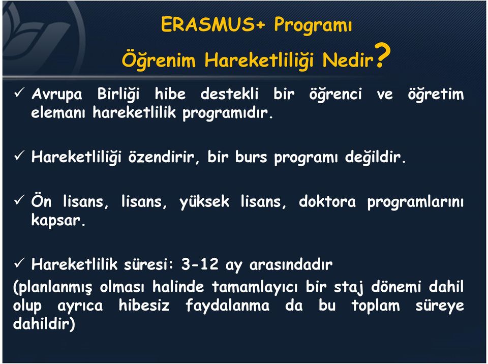 Hareketliliği özendirir, bir burs programı değildir.