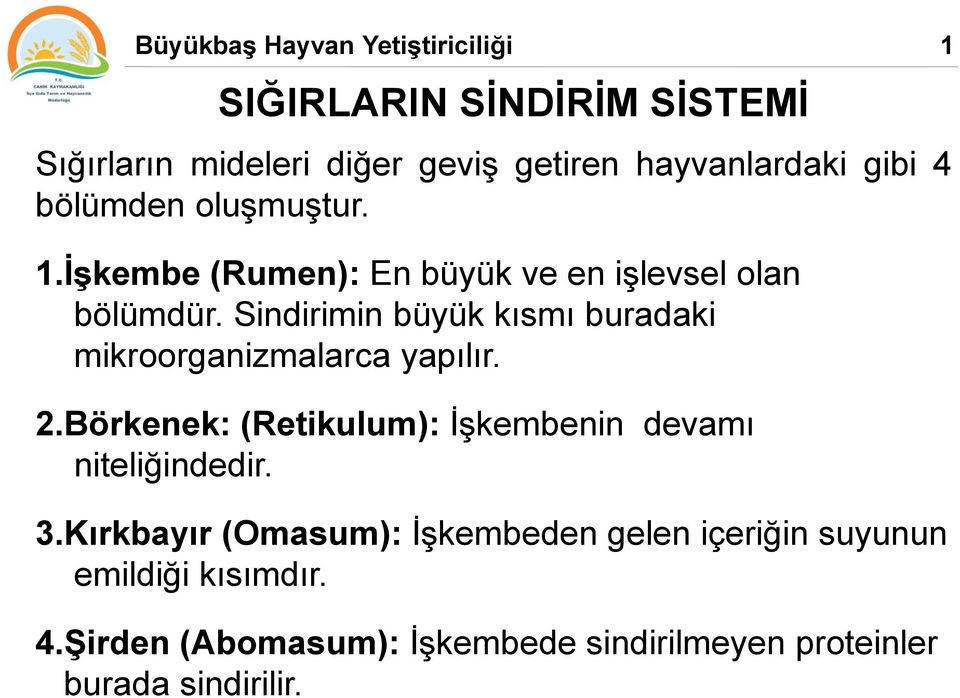 Sindirimin büyük kısmı buradaki mikroorganizmalarca yapılır. 2.