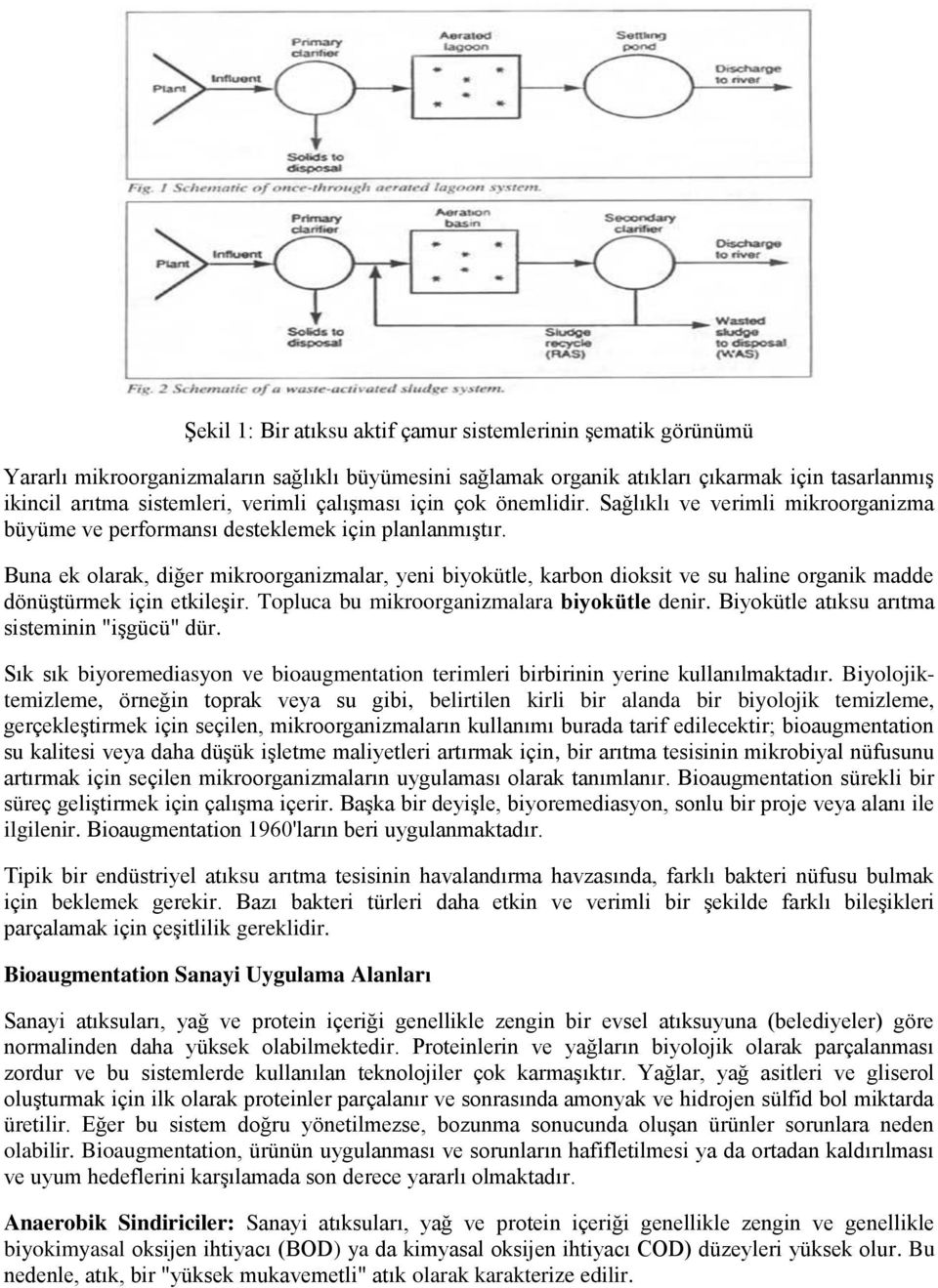 Buna ek olarak, diğer mikroorganizmalar, yeni biyokütle, karbon dioksit ve su haline organik madde dönüştürmek için etkileşir. Topluca bu mikroorganizmalara biyokütle denir.