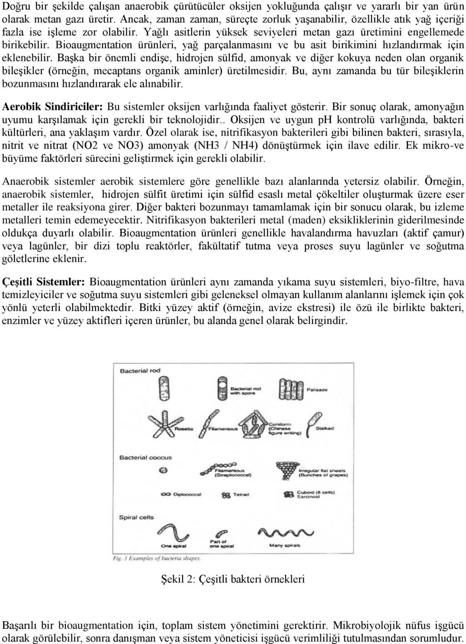 Bioaugmentation ürünleri, yağ parçalanmasını ve bu asit birikimini hızlandırmak için eklenebilir.