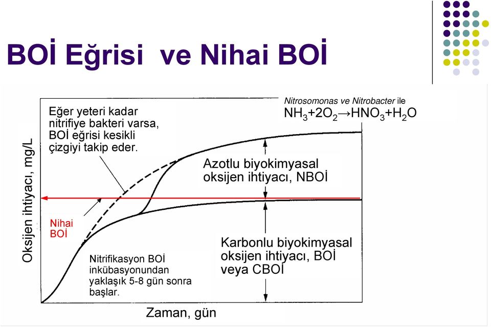 Nihai BOİ Nitrifikasyon BOİ inkübasyonundan yaklaşık 5-8 gün sonra başlar.