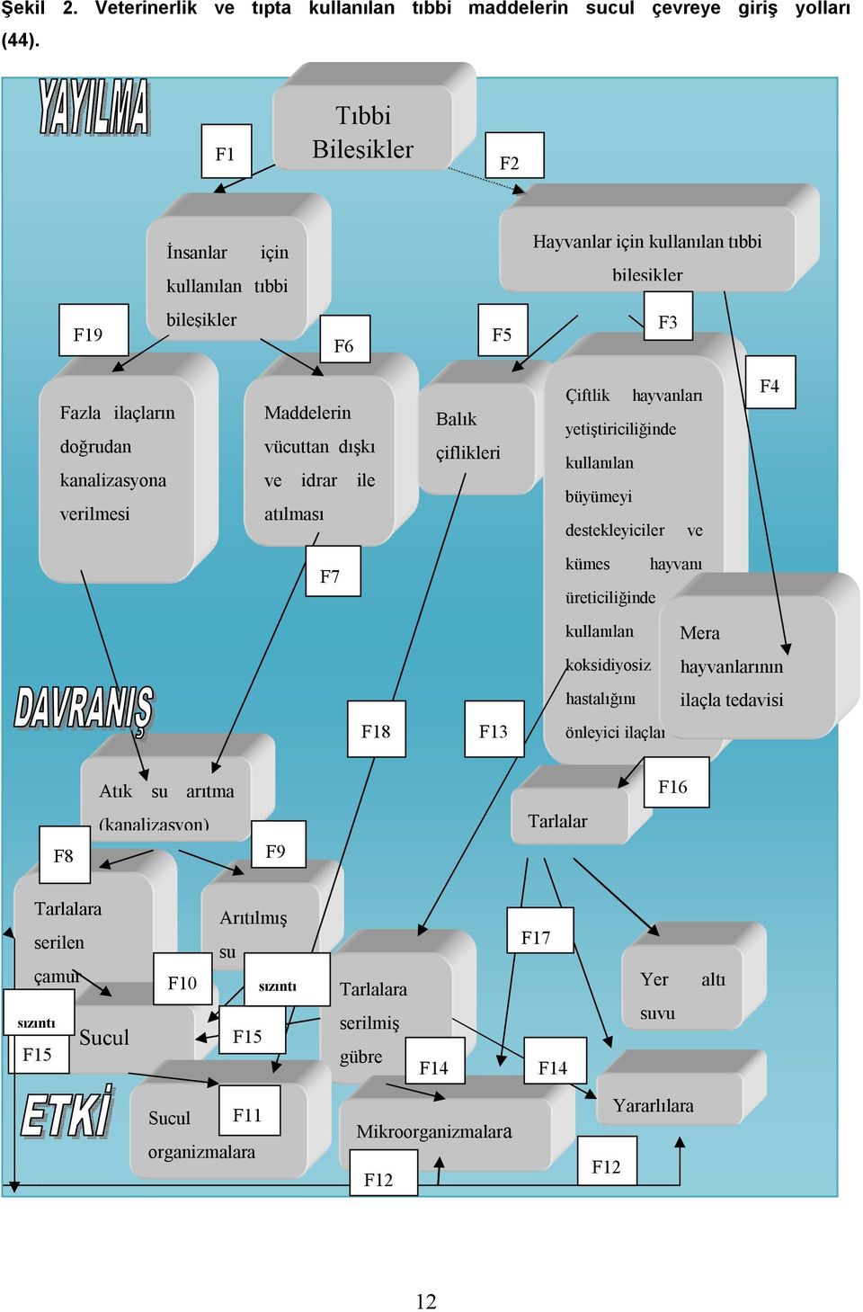 ve idrar ile atılması Balık çiflikleri Çiftlik hayvanları yetiştiriciliğinde kullanılan büyümeyi destekleyiciler ve F4 F7 kümes hayvanı üreticiliğinde kullanılan Mera koksidiyosiz hayvanlarının