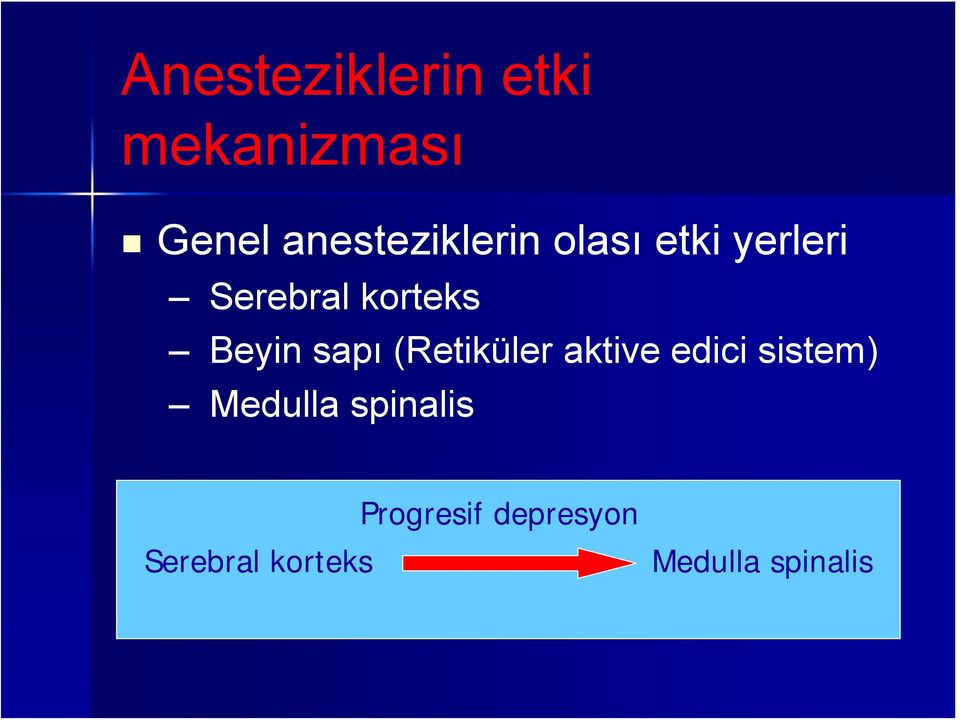 Beyin sapı (Retiküler aktive edici sistem) Medulla