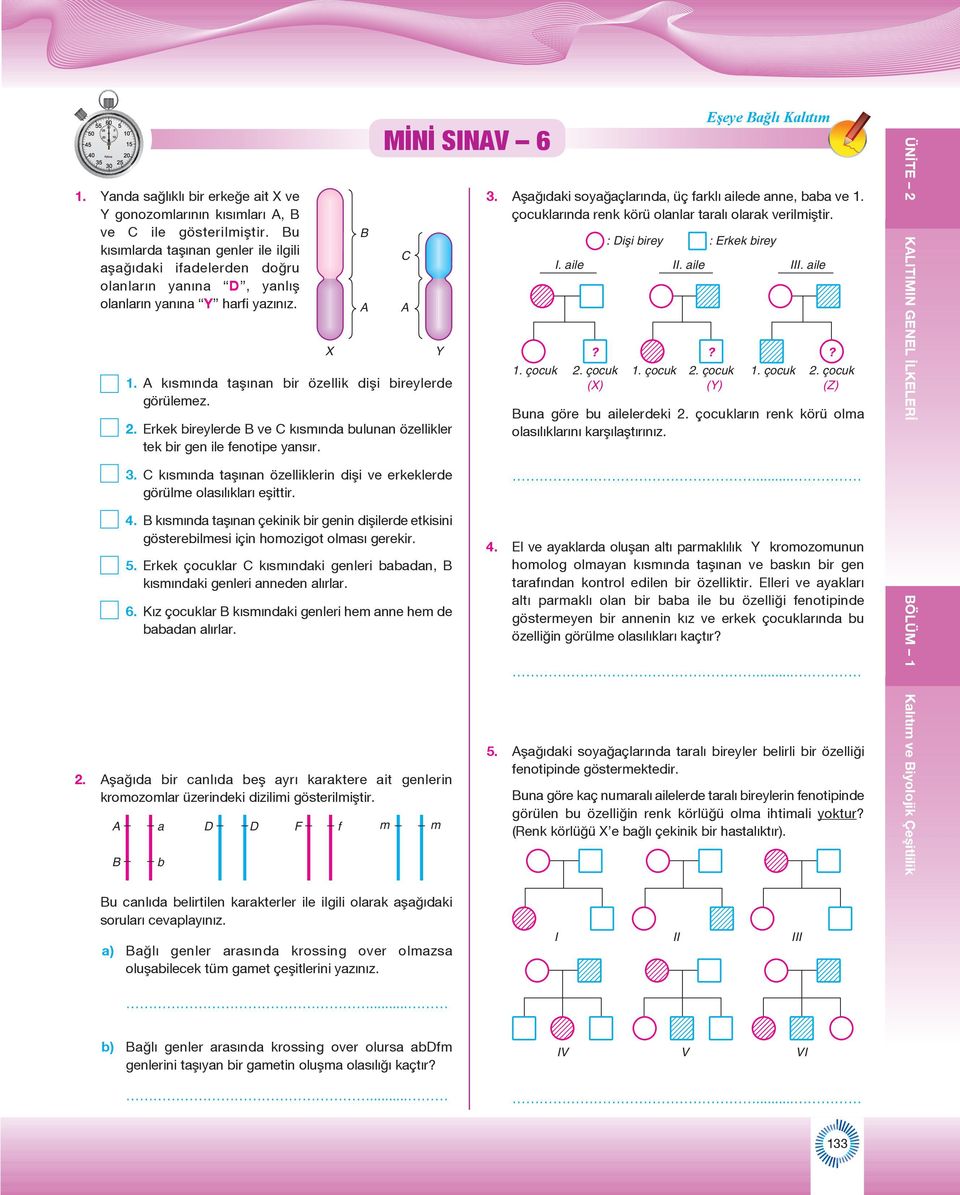 Erkek bireylerde B ve C kısmında bulunan özellikler tek bir gen ile fenotipe yansır. 3. C kısmında taşınan özelliklerin dişi ve erkeklerde görülme olasılıkları eşittir. 4.