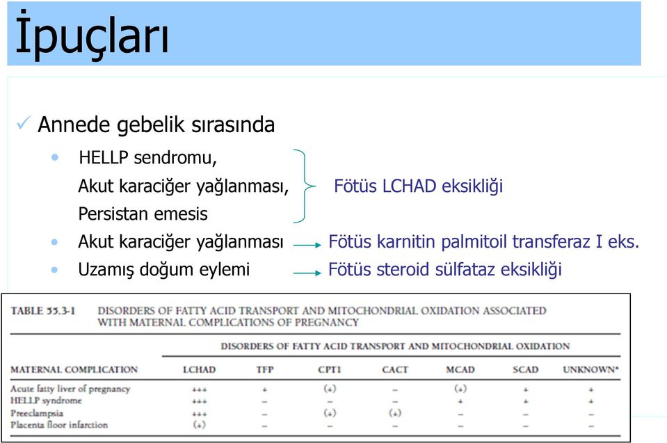 palmitoil transferaz I eks.