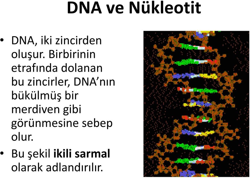 nın bükülmüş bir merdiven gibi görünmesine