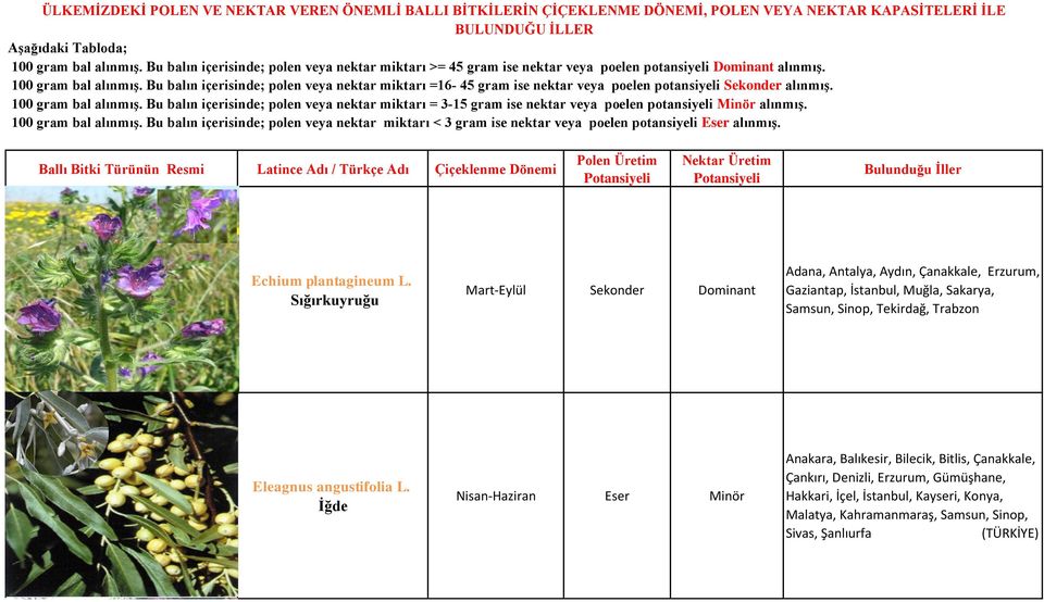 Muğla, Sakarya, Samsun, Sinop, Tekirdağ, Trabzon Eleagnus angustifolia L.