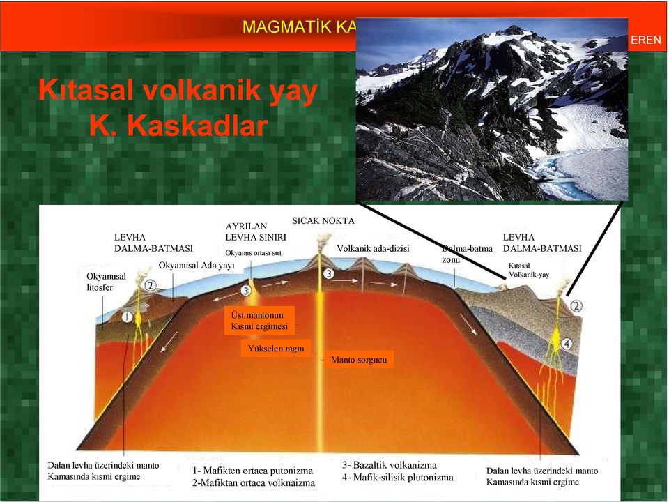 Volkanik ada-dizisi Dalma-batma zonu LEVHA DALMA-BATMASI Kıtasal Volkanik-yay Üst mantonun Kısmi ergimesi Yükselen mgm