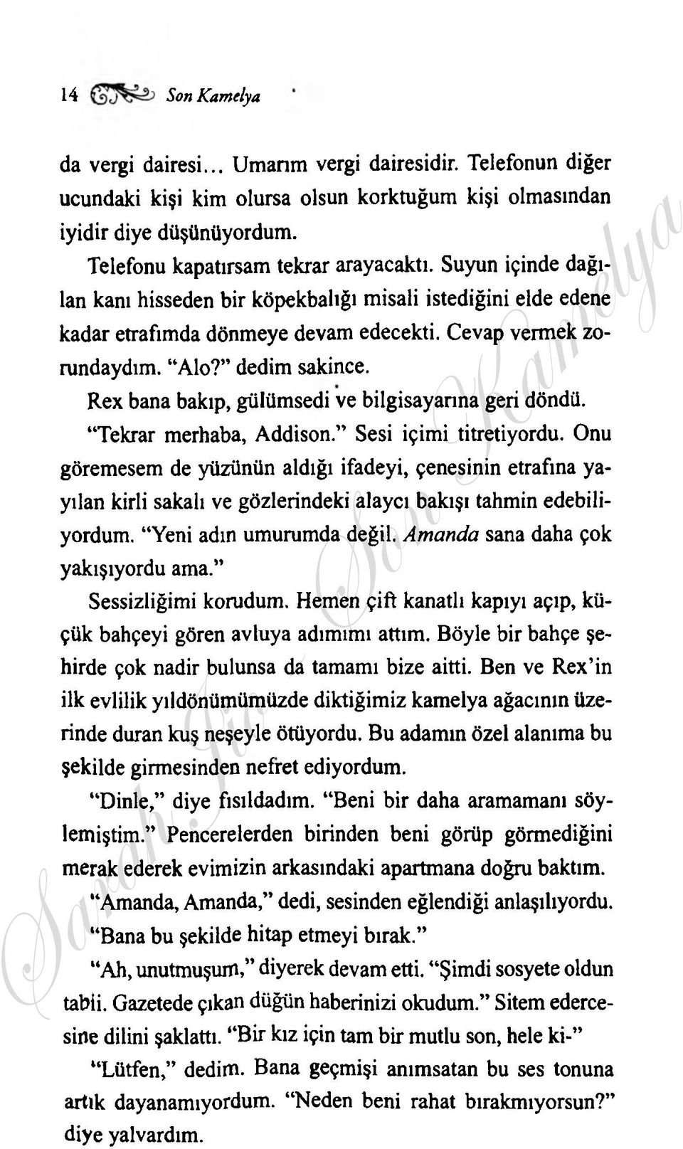 Rex bana bakıp, gülümsedi ve bilgisayarına geri döndü. Tekrar merhaba, Addison. Sesi içimi titretiyordu.